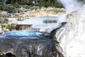 Te Puia Prince of Wales Geyser