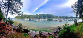 Harstine Island