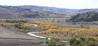 Judith River