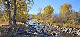 Wise River