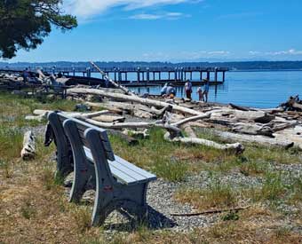 Bench on beach