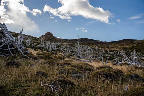 Pategonia, Mirador Cuemos hills along the trail