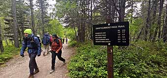 Busy trails at Many Glacier