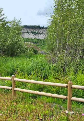 Oso slide hill