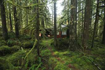 Rhododendron Cabin