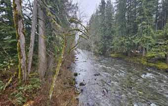 Salmon River