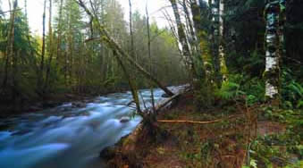 Zigzag River