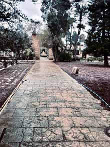 Malta San Anton Gardens