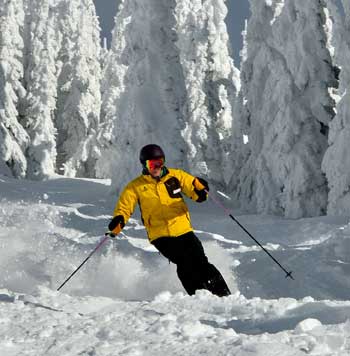 Glade skier