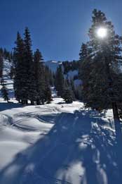 the glades beckon skiers