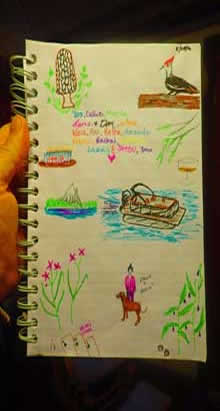 Oregon cabin log